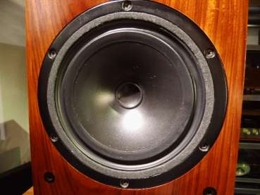 Monitor Audio HiFi-Monitor R852 biamping Echtholz matching numbers
